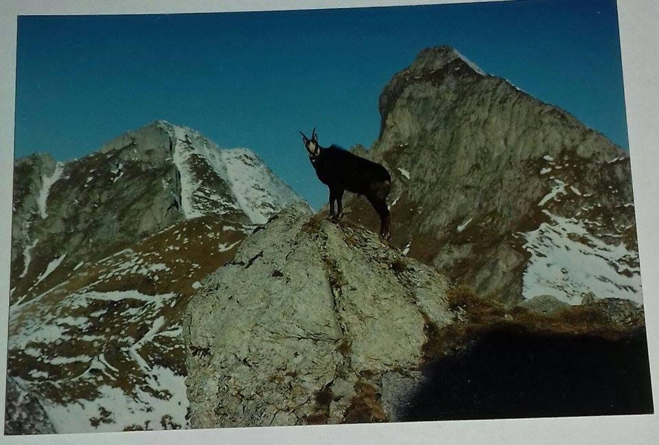 Vila Zdenka Vysoké Tatry Eksteriør billede